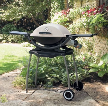 Weber Q 220 Portable Gas Grill