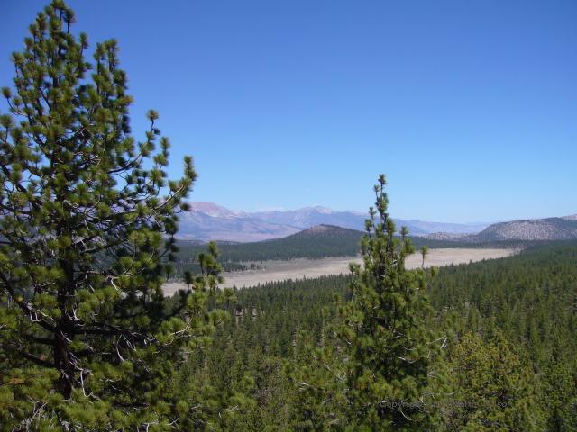 Inyo National Forest