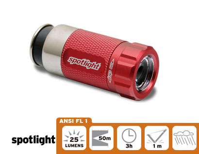 12 V Spotlight