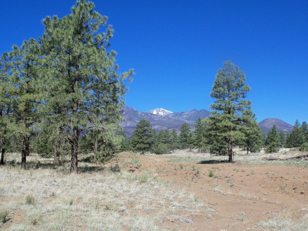 Cinder Hills OHV – Memorial Day 2011